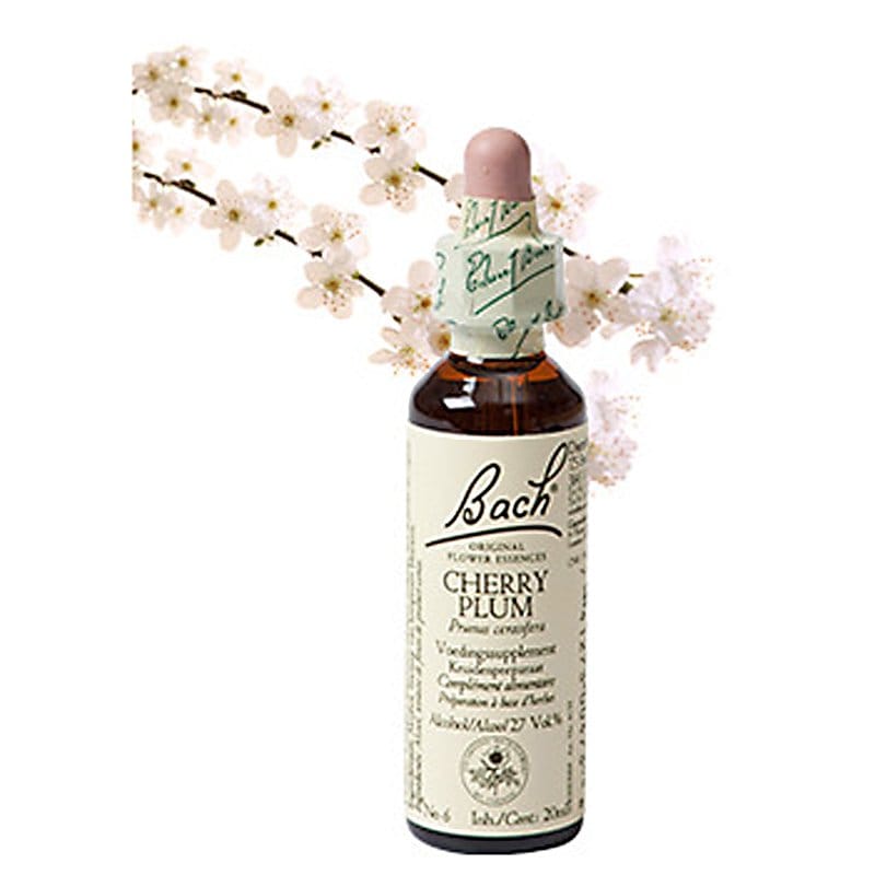 Bachbloesem Cherry Plum (Kerspruim)