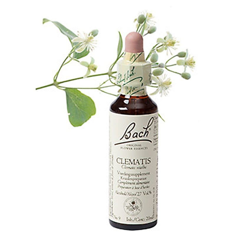 Bachbloesem Clematis (Bosrank)