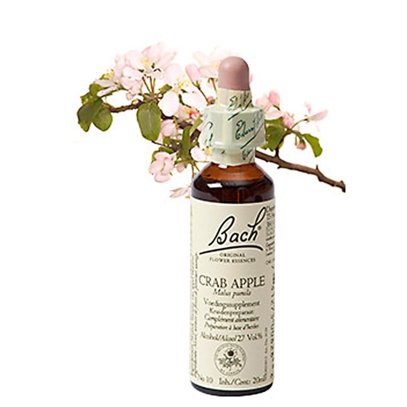 Bachbloesem Crab Apple (Appel)