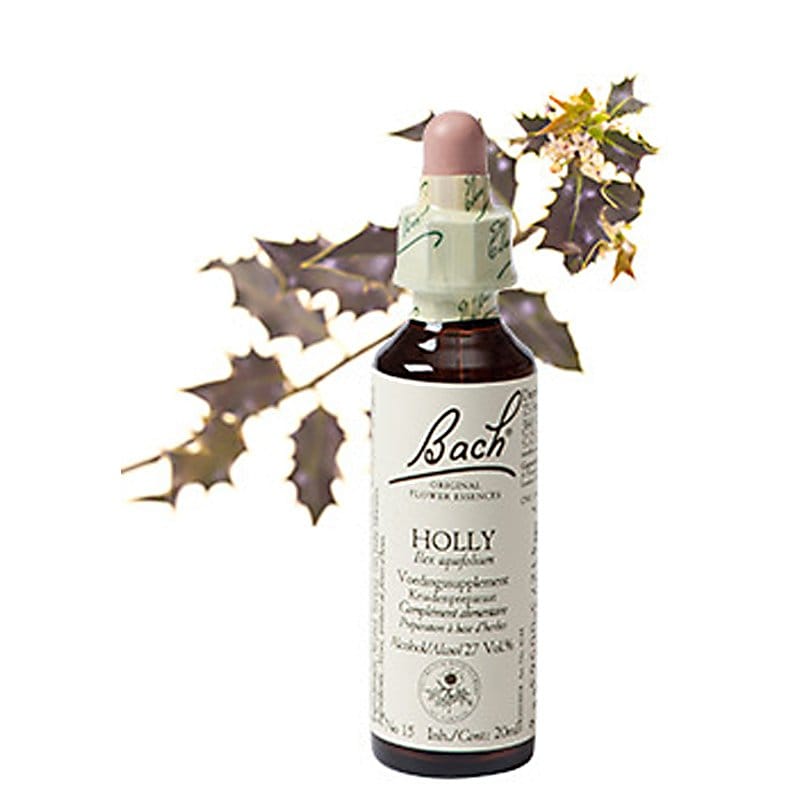 Bachbloesem Holly (Hulst)