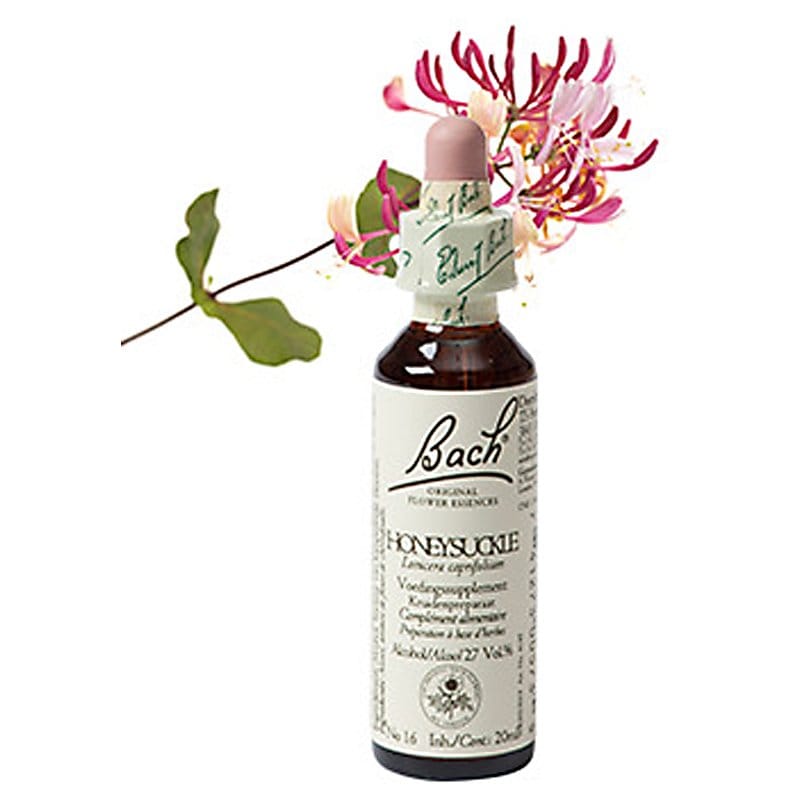 Bachbloesem Honeysuckle (Kamperfoelie)