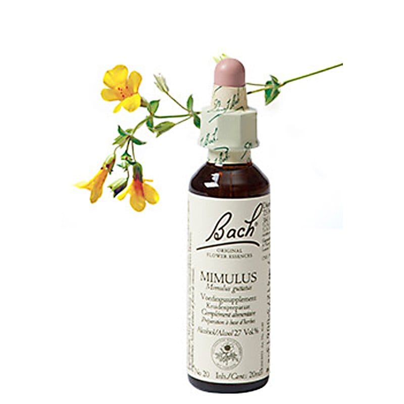 Bachbloesem Mimulus (Maskerbloem)