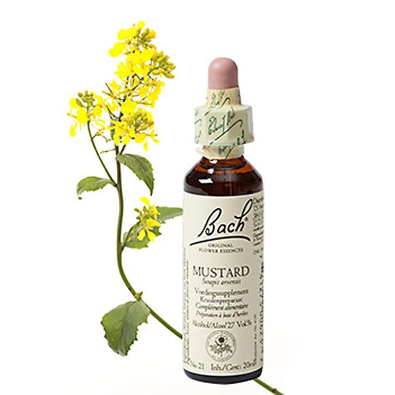 Bachbloesem Mustard (Herik)