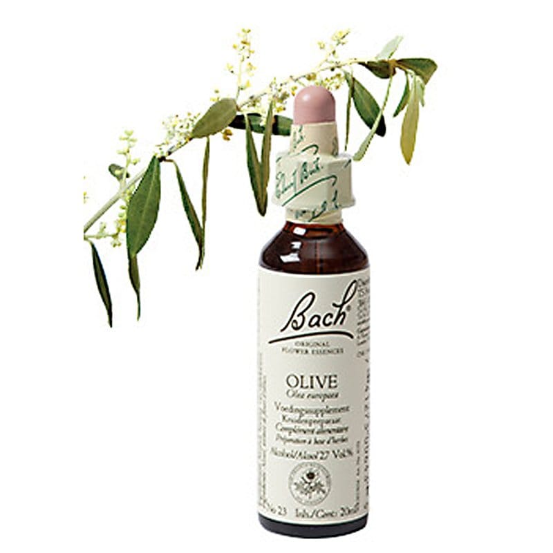 Bachbloesem Olive (Olijf)