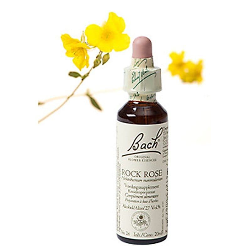 Bachbloesem Rock Rose (Zonneroosje)