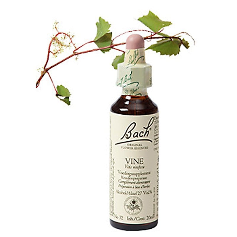 Bachbloesem Vine (Wijnrank)