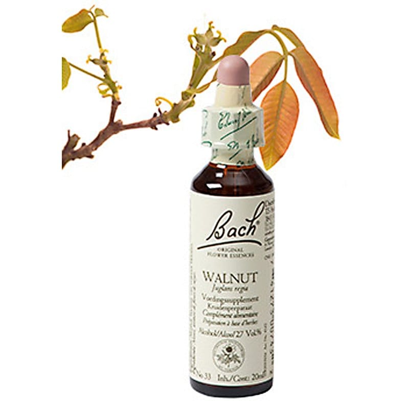 Bachbloesem Walnut (Walnoot)