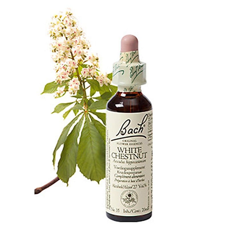 Bachbloesem White Chestnut (Paardekastanje)