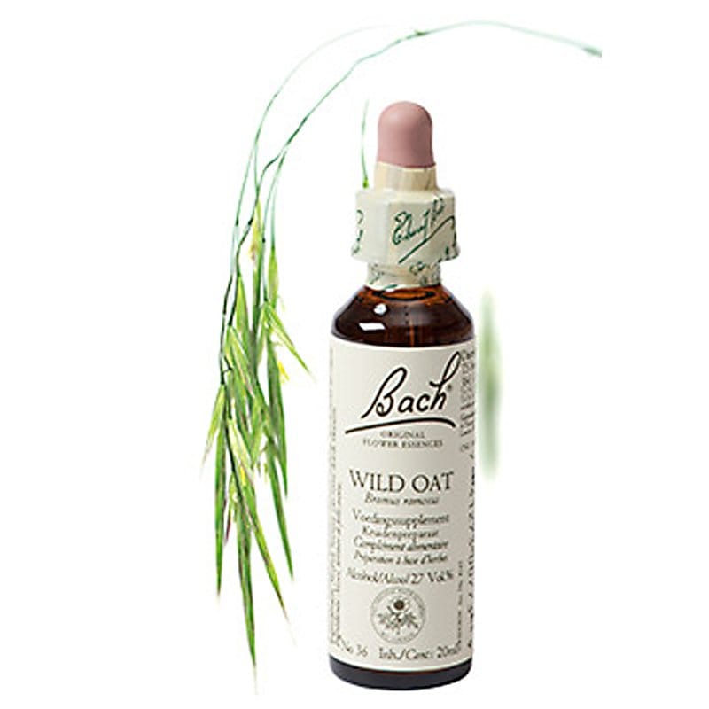 Bachbloesem Wild Oat (Ruwe Dravik)