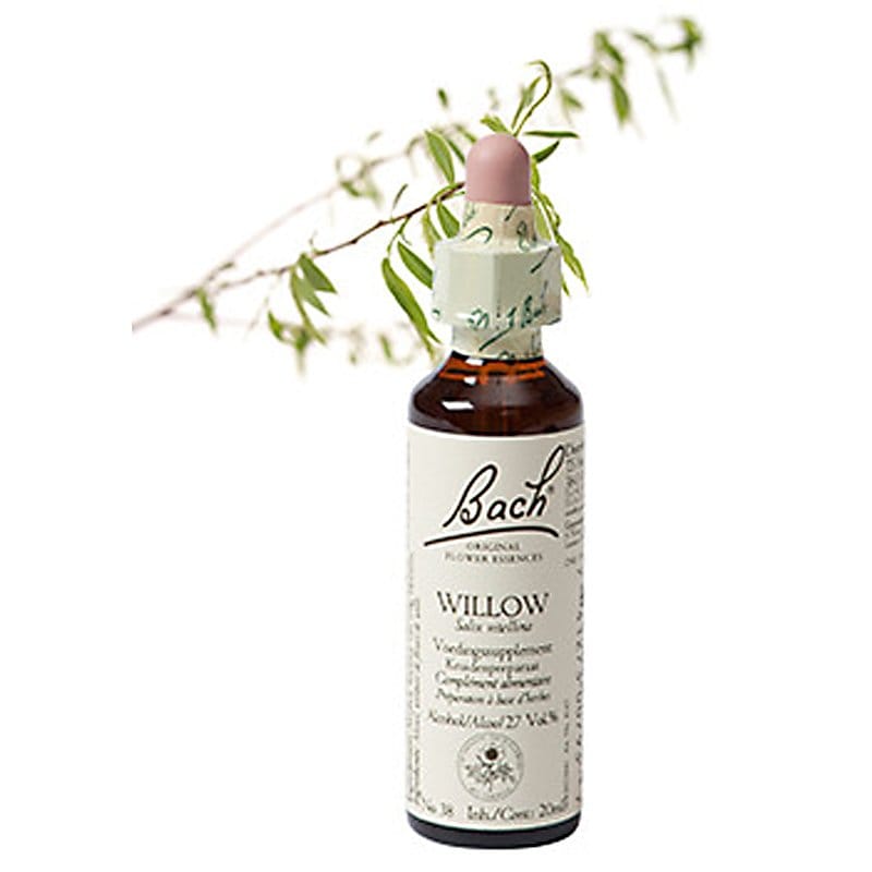Bachbloesem Willow (Wilg)
