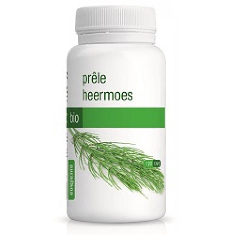 Heermoes