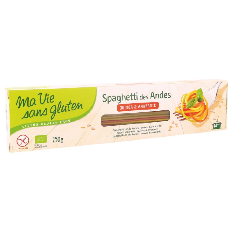 Spaghetti des Andes