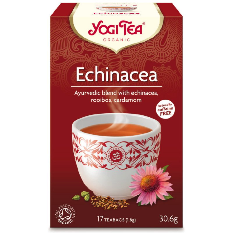 Yogi Echinacea