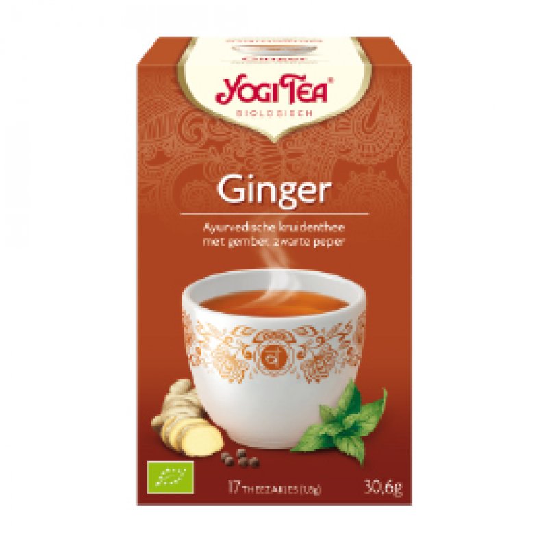Yogi Ginger