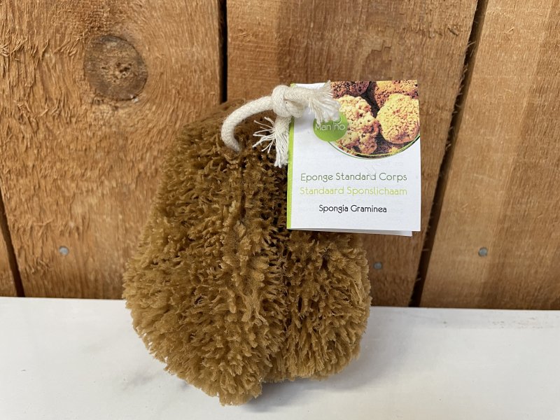 spons voor het lichaam (ECO)