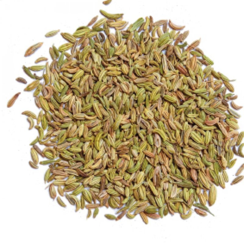 Keukenkruiden: Venkel - 100 g