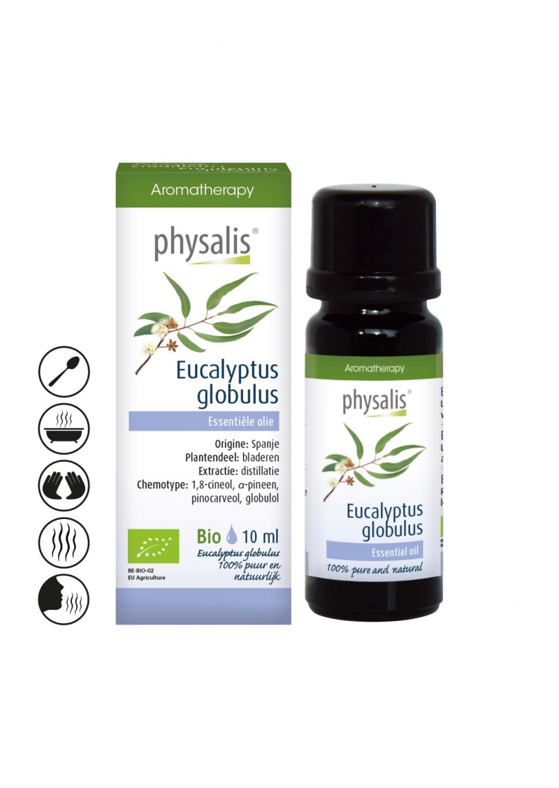 Eucalyptus Globulus