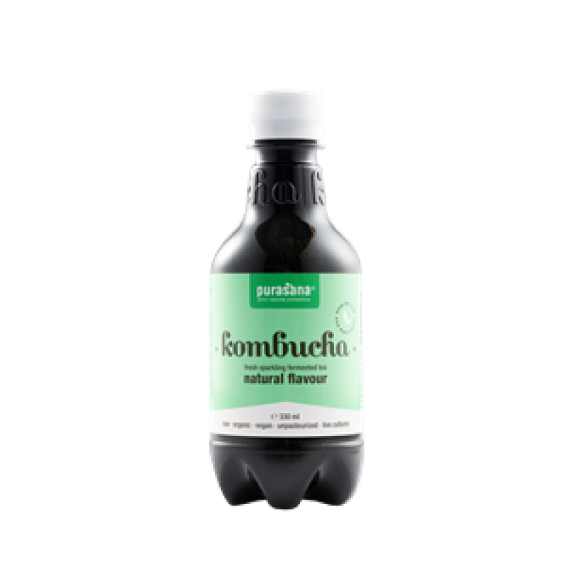kombucha naturel smaak  