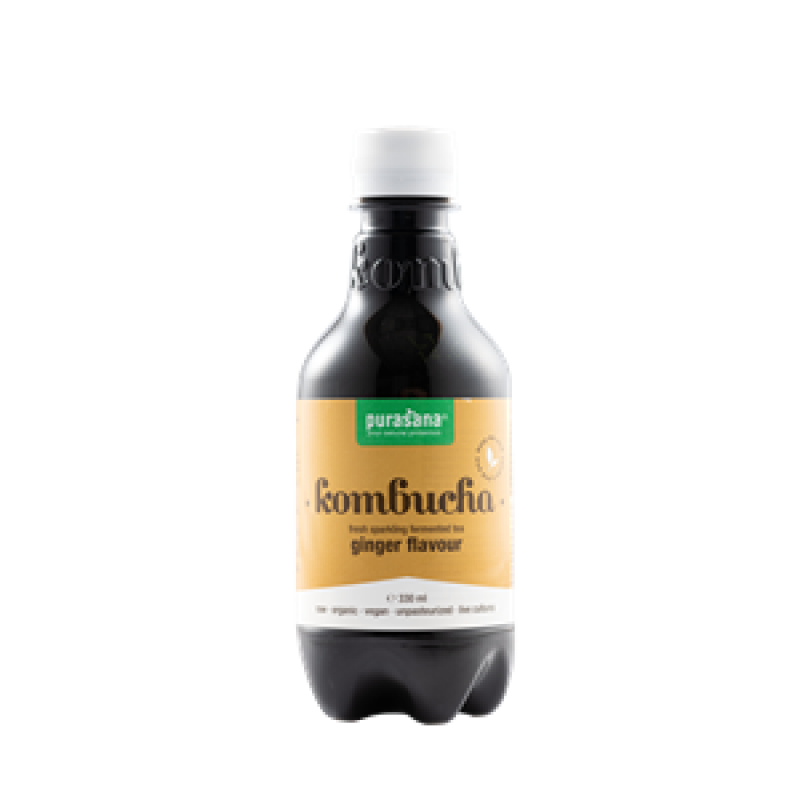 kombucha gember smaak 